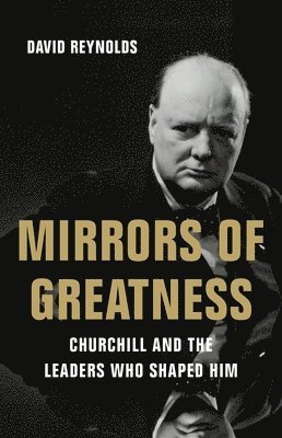 bokomslag Mirrors of Greatness
