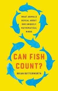 bokomslag Can Fish Count?: What Animals Reveal about Our Uniquely Mathematical Minds