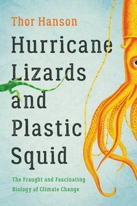 bokomslag Hurricane Lizards And Plastic Squid