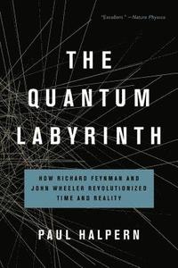 bokomslag The Quantum Labyrinth