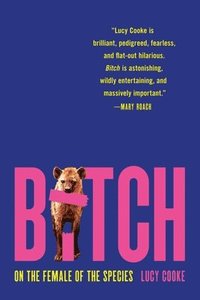 bokomslag Bitch