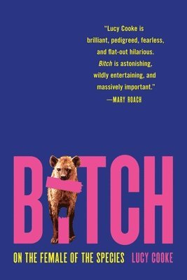 bokomslag Bitch