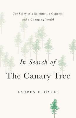 In Search of the Canary Tree 1