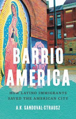 Barrio America 1