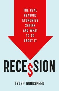 bokomslag Recession: The Real Reasons Economies Shrink and What to Do about It