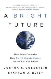 bokomslag A Bright Future: How Some Countries Have Solved Climate Change and the Rest Can Follow