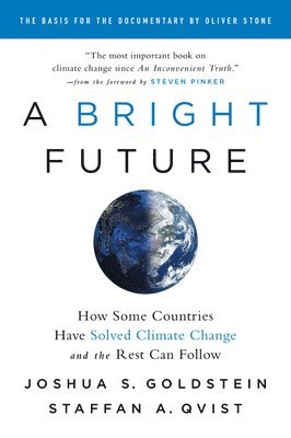 Joshua S. Goldstein - A Bright Future, Häftad