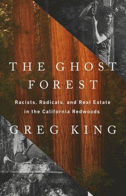 Greg King - The Ghost Forest, Inbunden