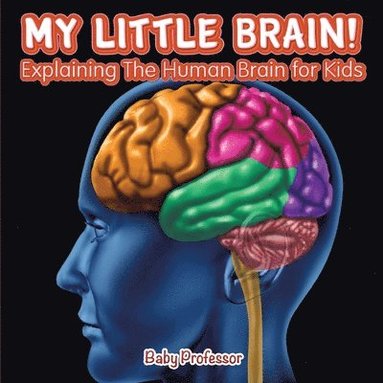 bokomslag My Little Brain! - Explaining The Human Brain for Kids