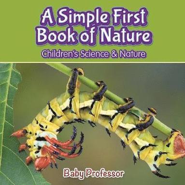 bokomslag Simple First Book of Nature - Children's Science & Nature