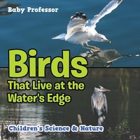 bokomslag Birds That Live at the Water's Edge Children's Science & Nature
