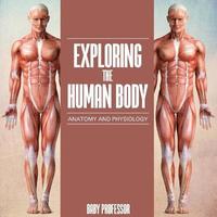 bokomslag Exploring the Human Body Anatomy and Physiology