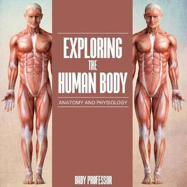 bokomslag Exploring the Human Body Anatomy and Physiology