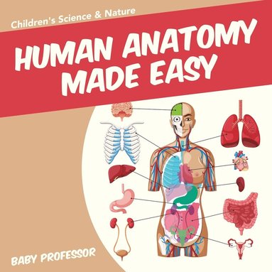 bokomslag Human Anatomy Made Easy - Children's Science & Nature