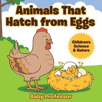bokomslag Animals That Hatch from Eggs Children's Science & Nature