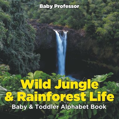bokomslag Wild Jungle & Rainforest Life- Baby & Toddler Alphabet Book