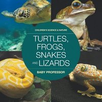 bokomslag Turtles, Frogs, Snakes and Lizards Children's Science & Nature