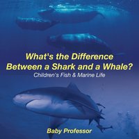 bokomslag What's the Difference Between a Shark and a Whale? Children's Fish & Marine Life