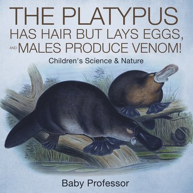 bokomslag The Platypus Has Hair but Lays Eggs, and Males Produce Venom! Children's Science & Nature