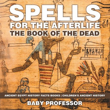 bokomslag Spells for the Afterlife