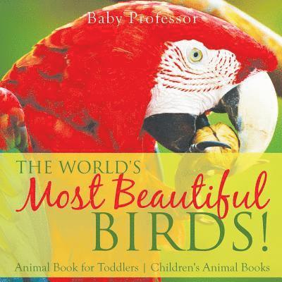 World's Most Beautiful Birds! Animal Book for Toddlers Children's Animal Books