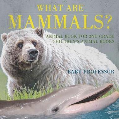 bokomslag What are Mammals? Animal Book for 2nd Grade Children's Animal Books