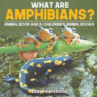 bokomslag What are Amphibians? Animal Book Age 8 Children's Animal Books