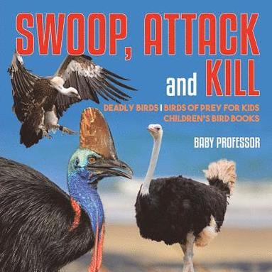 bokomslag Swoop, Attack and Kill - Deadly Birds Birds Of Prey for Kids Children's Bird Books