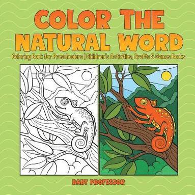 bokomslag Color the Natural Word