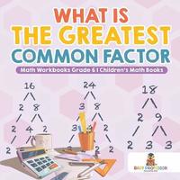 bokomslag What is the Greatest Common Factor - Math Workbooks Grade 6 Children's Math Books