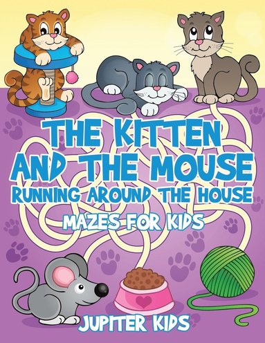 bokomslag Kitten and The Mouse Running Around The House
