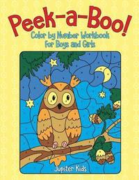 bokomslag Peek-a-Boo! Color by Number Workbook for Boys and Girls