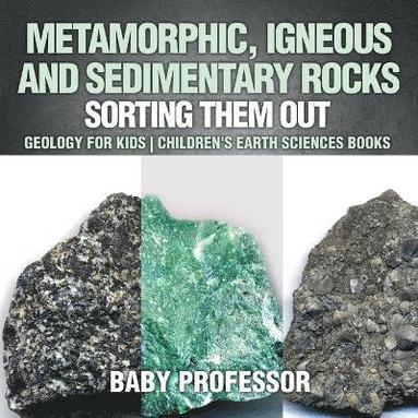 bokomslag Metamorphic, Igneous and Sedimentary Rocks