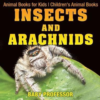 bokomslag Insects and Arachnids
