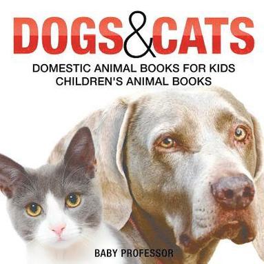bokomslag Dogs and Cats