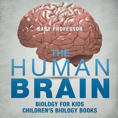 Baby Professor, Baby - Human Brain - Biology for Kids Children's Biology Books, Häftad