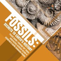 bokomslag Fossils