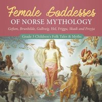 bokomslag Female Goddesses of Norse Mythology