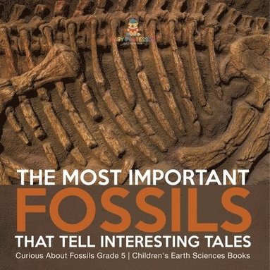 bokomslag Most Important Fossils That Tell Interesting Tales Curious About Fossils Grade 5 Children's Earth Sciences Books