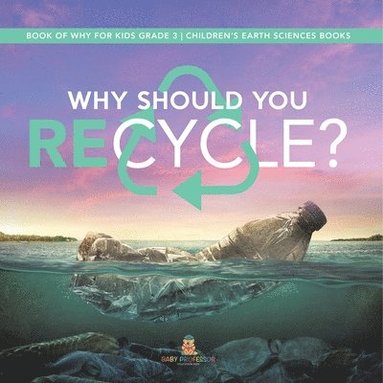 bokomslag Why Should You Recycle? Book of Why for Kids Grade 3 Children's Earth Sciences Books