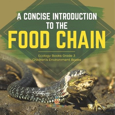Concise Introduction to the Food Chain Ecology Books Grade 3 Children's Environment Books