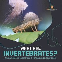 bokomslag What Are Invertebrates? Animal Science Book Grade 3 Children's Zoology Books