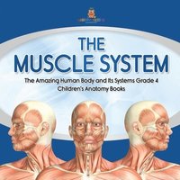 bokomslag The Muscle System The Amazing Human Body and Its Systems Grade 4 Children's Anatomy Books