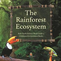 bokomslag Rainforest Ecosystem Kids' Earth Science Book Grade 4 Children's Environment Books