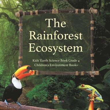 bokomslag Rainforest Ecosystem Kids' Earth Science Book Grade 4 Children's Environment Books