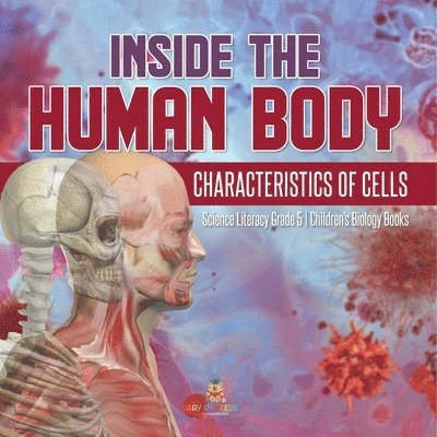 Inside the Human Body 1