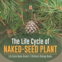 bokomslag Life Cycle of Naked-Seed Plant Life Cycle Books Grade 5 Children's Biology Books