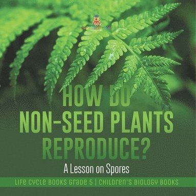 bokomslag How Do Non-Seed Plants Reproduce? A Lesson on Spores Life Cycle Books Grade 5 Children's Biology Books