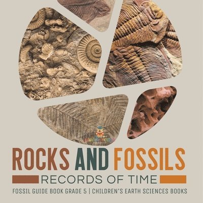 Rocks and Fossils 1