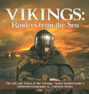 bokomslag Vikings